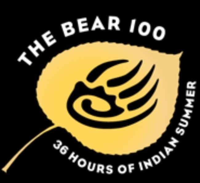 Bear 100